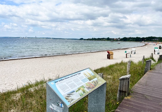 24-06-23 12-34-10 9807